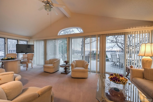 3453 Ormond Rd W, White Lake, MI 48383 - photo 14