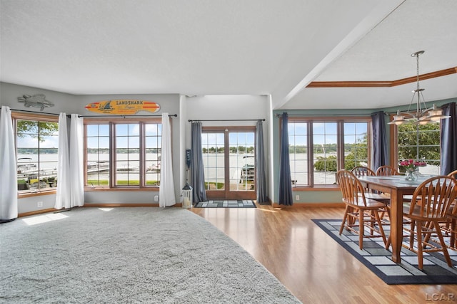 9254 Cherry Point Rd, Manitou Beach, MI 49253 - photo 11
