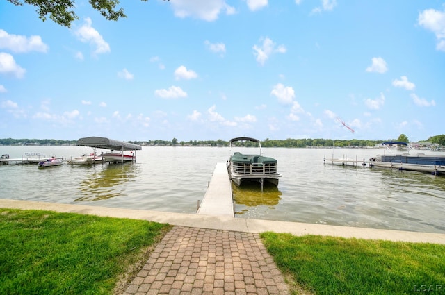 9254 Cherry Point Rd, Manitou Beach, MI 49253 - photo 42