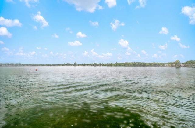 9254 Cherry Point Rd, Manitou Beach, MI 49253 - photo 43