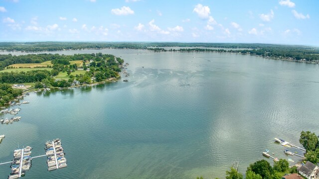 9254 Cherry Point Rd, Manitou Beach, MI 49253 - photo 55