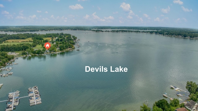 9254 Cherry Point Rd, Manitou Beach, MI 49253 - photo 56