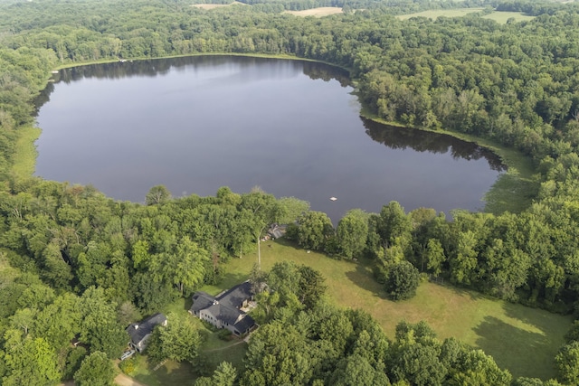 18 Camp Madron Rd, Buchanan, MI 49107 - photo 32