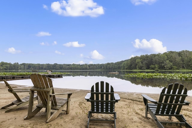 18 Camp Madron Rd, Buchanan, MI 49107 - photo 4