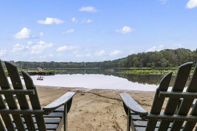 18 Camp Madron Rd, Buchanan, MI 49107 - photo 26