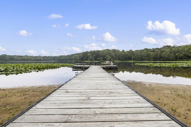 18 Camp Madron Rd, Buchanan, MI 49107 - photo 27