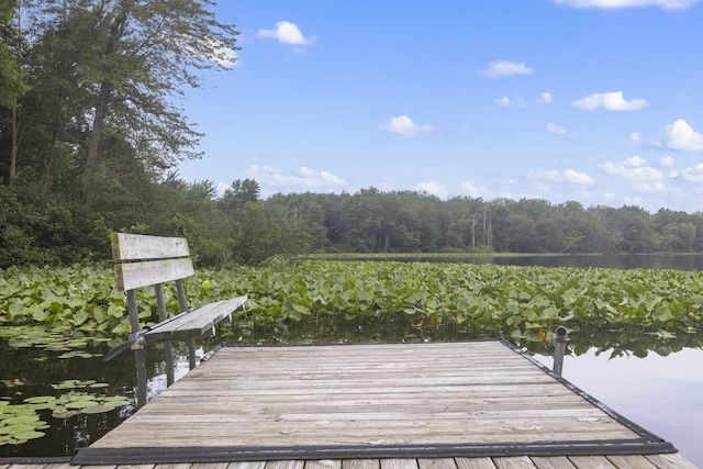 18 Camp Madron Rd, Buchanan, MI 49107 - photo 28