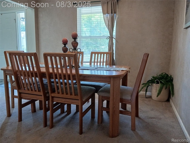 8350 Sherwood Dr, Grand Blanc, MI 48439 - photo 11