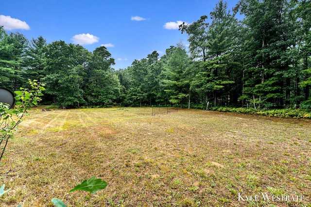 7693 Blue Lake Rd, Twin Lake, MI 49457 - photo 44