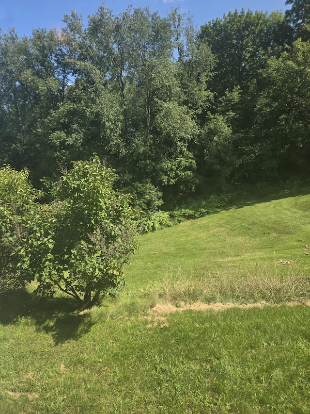 820 E Argyle St, Jackson, MI 49202 - photo 12