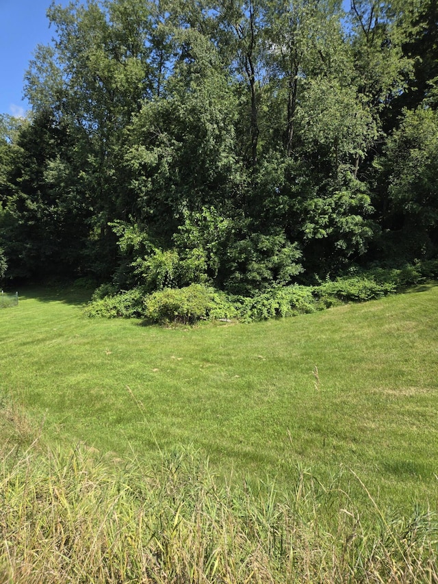 820 E Argyle St, Jackson, MI 49202 - photo 13