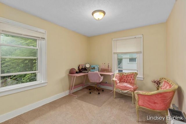 1519 Marshall Ave SE, Grand Rapids, MI 49507 - photo 13