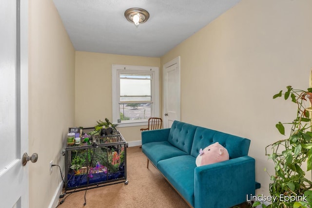 1519 Marshall Ave SE, Grand Rapids, MI 49507 - photo 14