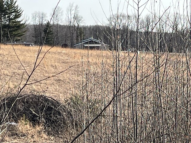 264 S 152nd Ave Unit 20Acres, Shelby, MI 49455 - photo 14