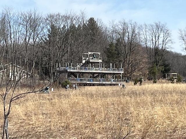 264 S 152nd Ave Unit 20Acres, Shelby, MI 49455 - photo 15