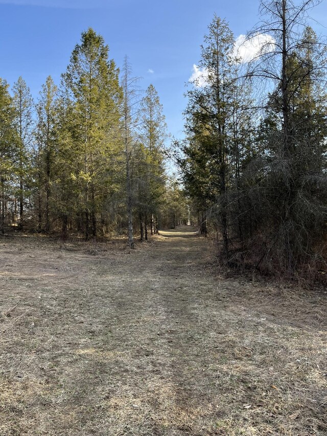 264 S 152nd Ave Unit 20Acres, Shelby, MI 49455 - photo 21