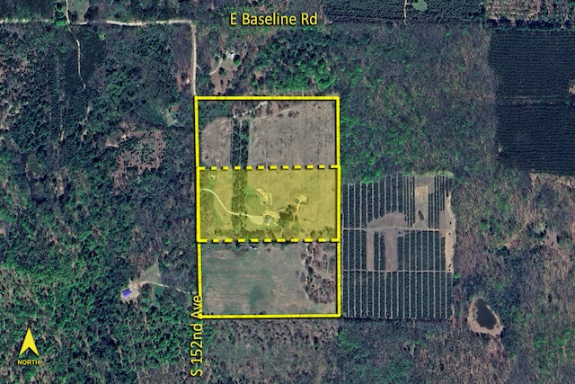 264 S 152nd Ave Unit 20Acres, Shelby, MI 49455 - photo 4