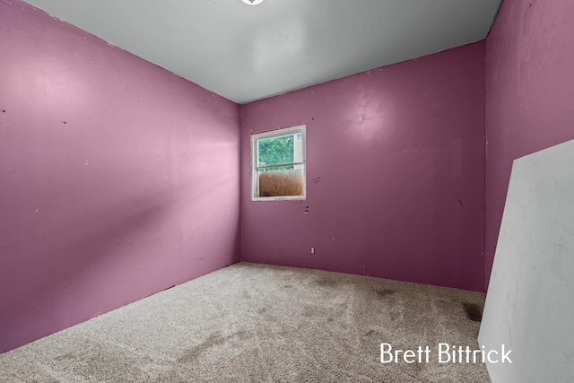 37011 Wahimund Ave, Paw Paw, MI 49079 - photo 18