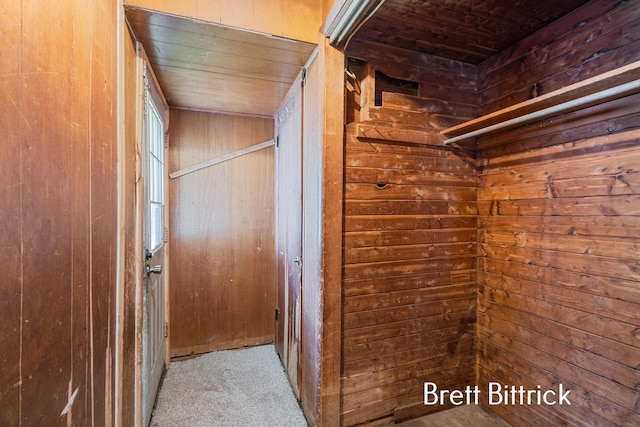 37011 Wahimund Ave, Paw Paw, MI 49079 - photo 10