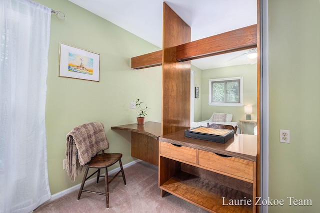 1733 Whitmore Ave NW, Grand Rapids, MI 49534 - photo 34