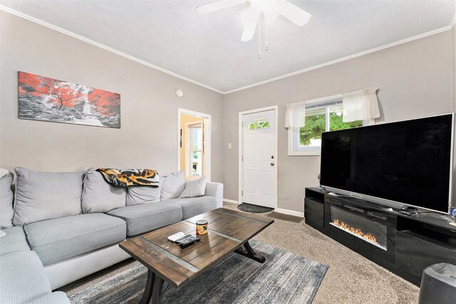 209 S Carmel St, Cadillac, MI 49601 - photo 7