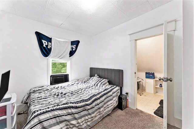 209 S Carmel St, Cadillac, MI 49601 - photo 13
