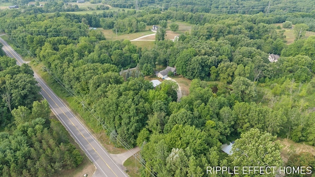 3410 Hidden Meadows St, Zeeland, MI 49464 - photo 3