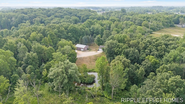 3410 Hidden Meadows St, Zeeland, MI 49464 - photo 4