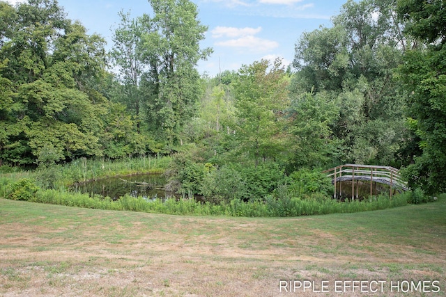 3410 Hidden Meadows St, Zeeland, MI 49464 - photo 6