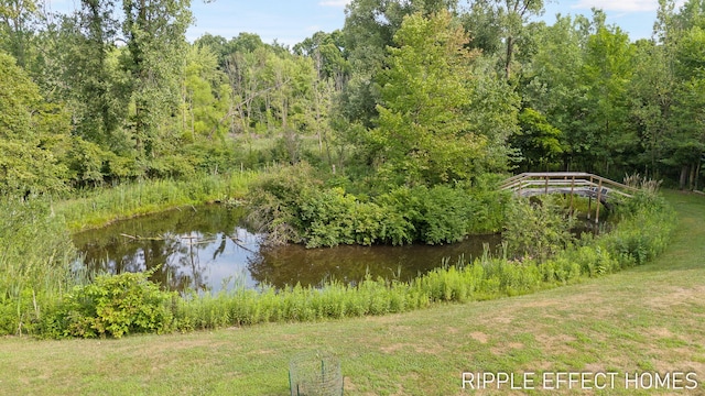 3410 Hidden Meadows St, Zeeland, MI 49464 - photo 7