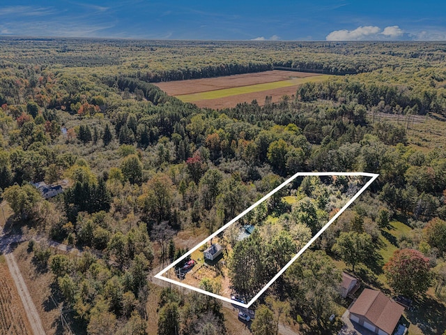 3459 N Morrie Ln, White Cloud, MI 49349 - photo 24