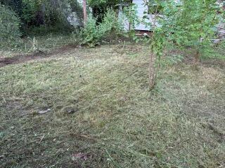 6303 Marseilles St, Detroit, MI 48224 - photo 10