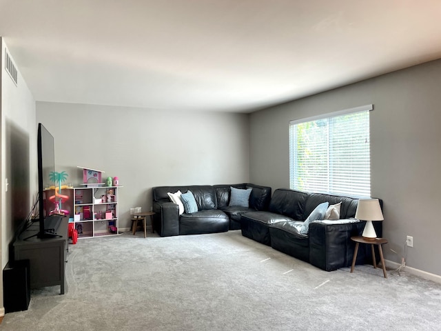 6204 Treetops Dr, Romulus, MI 48174 - photo 18
