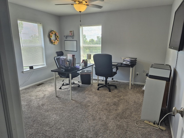 5056 Gleason Dr, Whitmore Lake, MI 48189 - photo 31