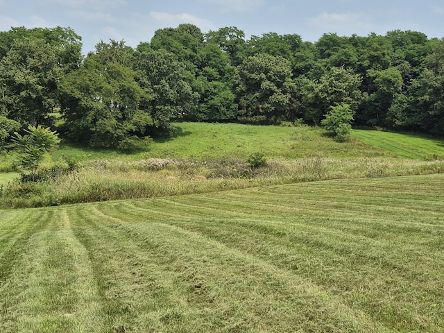 5056 Gleason Dr, Whitmore Lake, MI 48189 - photo 42