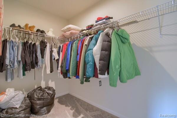 132 Mill St, Plymouth, MI 48170 - photo 29