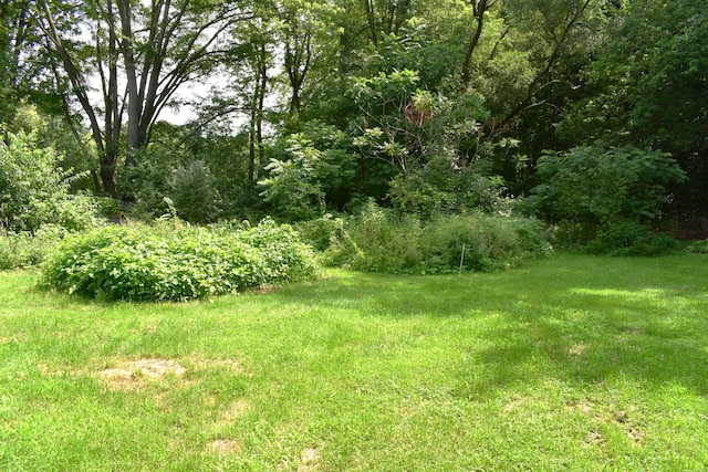 5280 Sutton, Ann Arbor, MI 48105 - photo 28