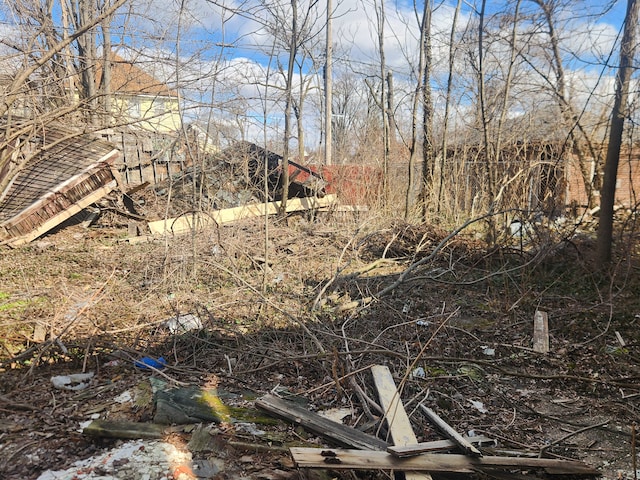3226 Columbus St, Detroit, MI 48206 - view of local wilderness