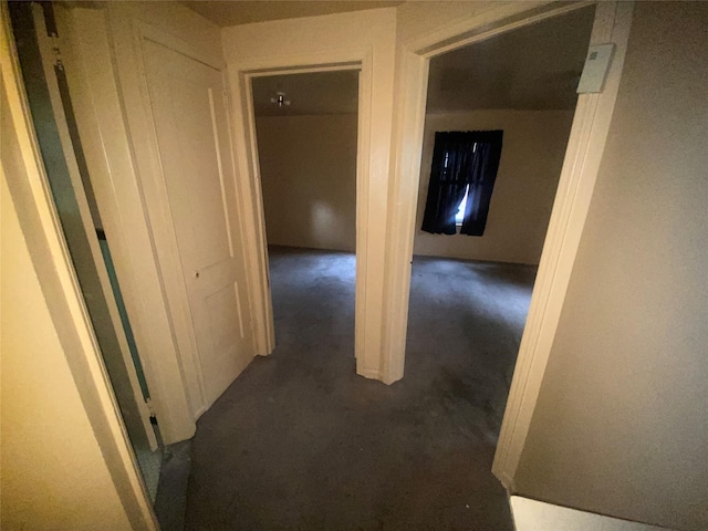 18905 Evergreen Rd, Detroit, MI 48219 - corridor featuring dark carpet