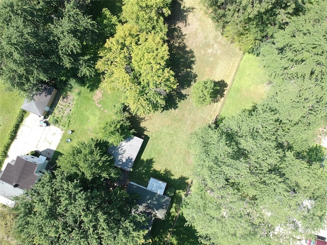 25601 Peter Kaltz Rd, Warren, MI 48091