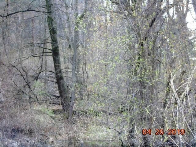 00 Lake Lapeer Dr, Metamora MI, 48455 land for sale