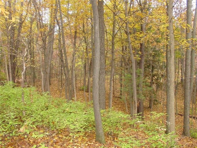 L3 Addaleen Dr, Highland, MI 48357