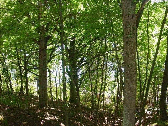 L3 Addaleen Dr, Highland, MI 48357
