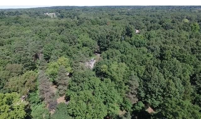 L3 Addaleen Dr, Highland, MI 48357