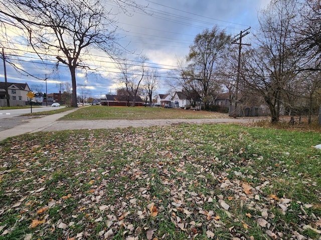 1408 Lansing, Detroit, MI 48209 - photo 10