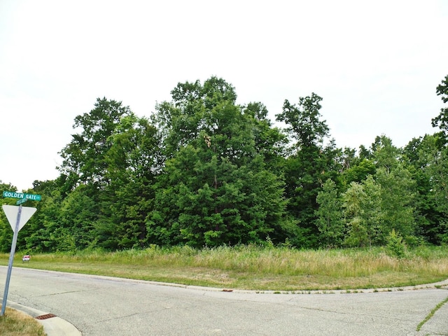 33 Forest Gate Ct, Grand Blanc, MI 48439 - photo 2