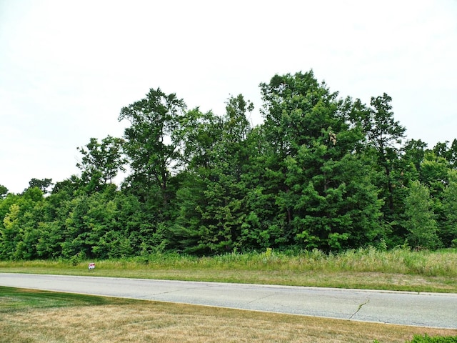 33 Forest Gate Ct, Grand Blanc, MI 48439 - photo 1