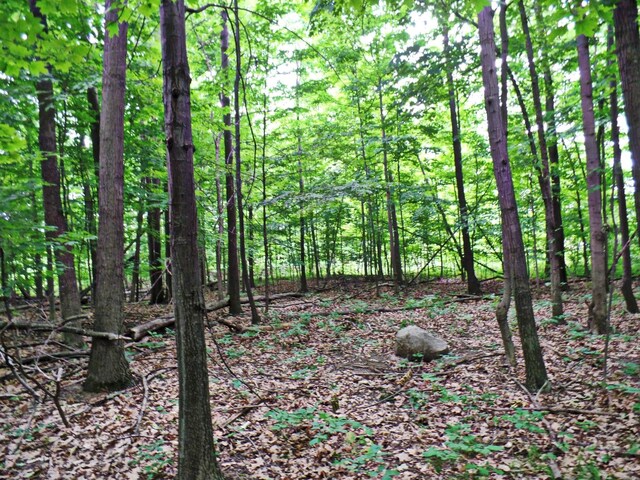 33 Forest Gate Ct, Grand Blanc, MI 48439 - photo 5