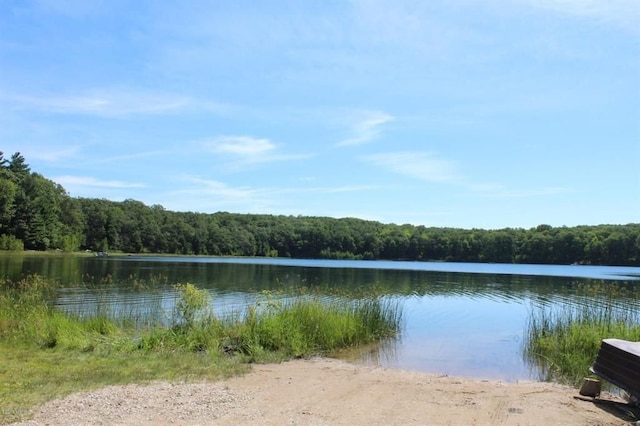 LOTS276 Alpine Dr, Reed City, MI 49677 - photo 2