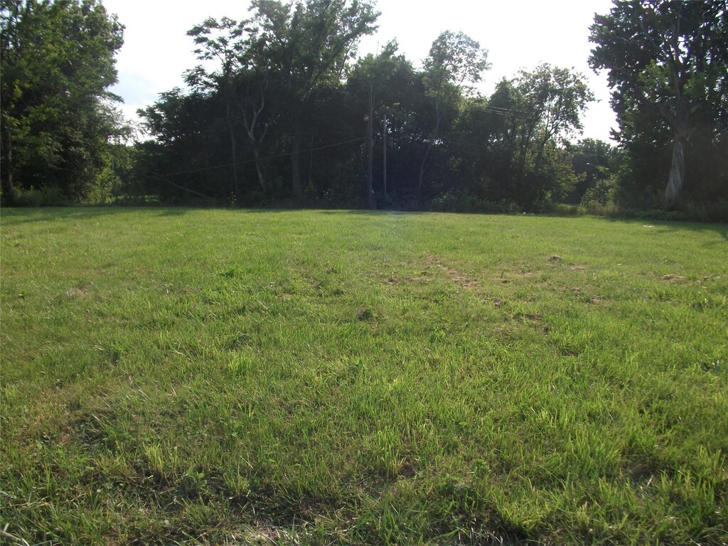 1131 Newport, Detroit, MI 48215